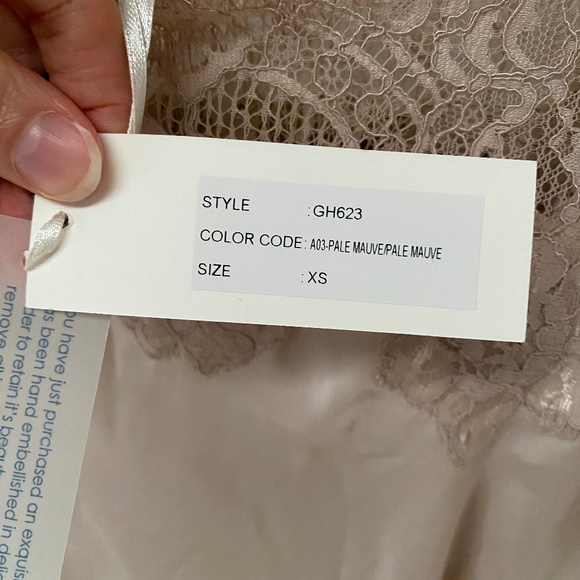 NWT Gold Hawk Gigi Lace Silk Mini Summer Dress Pale Mauve Size XS RRP $295 - Picture 10 of 13